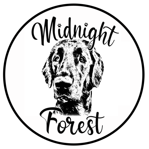 logo Midnight Forest