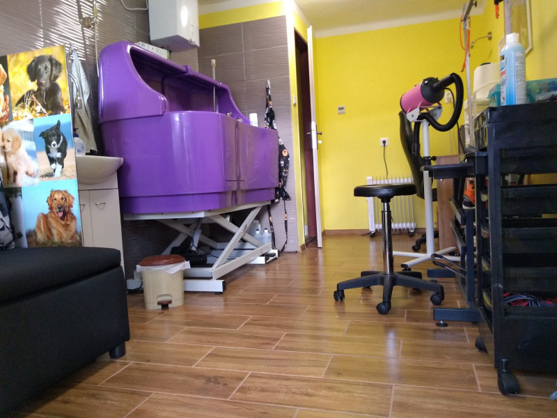 Salón pre psov
